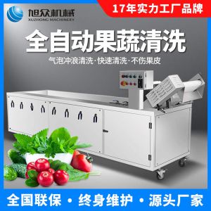 農產(chǎn)品設備多功能蔬果凈菜流水清洗線洗菜機